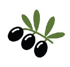 روغن